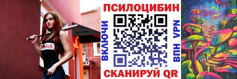 mega ССЫЛКА  продажа наркотиков  Вельск  Псилоцибиновые грибы MAGIC MUSHROOMS 